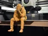 0.16mm layer, 2 walls, 12% infill