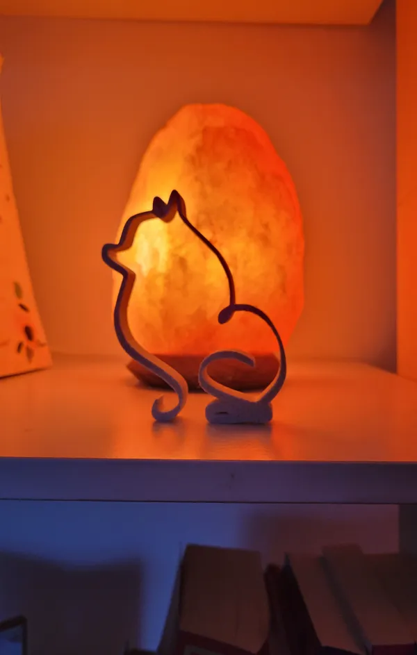 https://makerworld.bblmw.com/makerworld/model/USedaa04d980a939/design/2023-12-27_dc31cb15d8bef.jpg