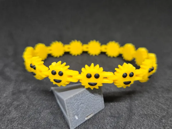 https://makerworld.bblmw.com/makerworld/model/USedad098da98798/design/2025-06-13_cdf193da0988.jpg