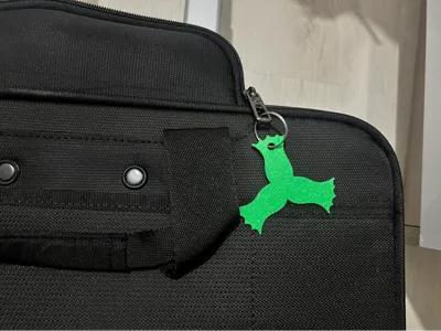 Cotanak keychain