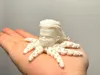 Haaland Octopus
