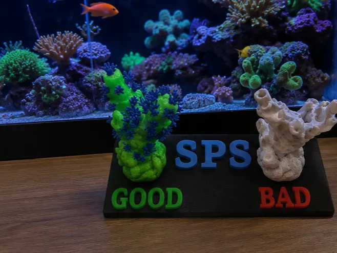 SPS Coral Health Guide | Spot Healthy vs Dying