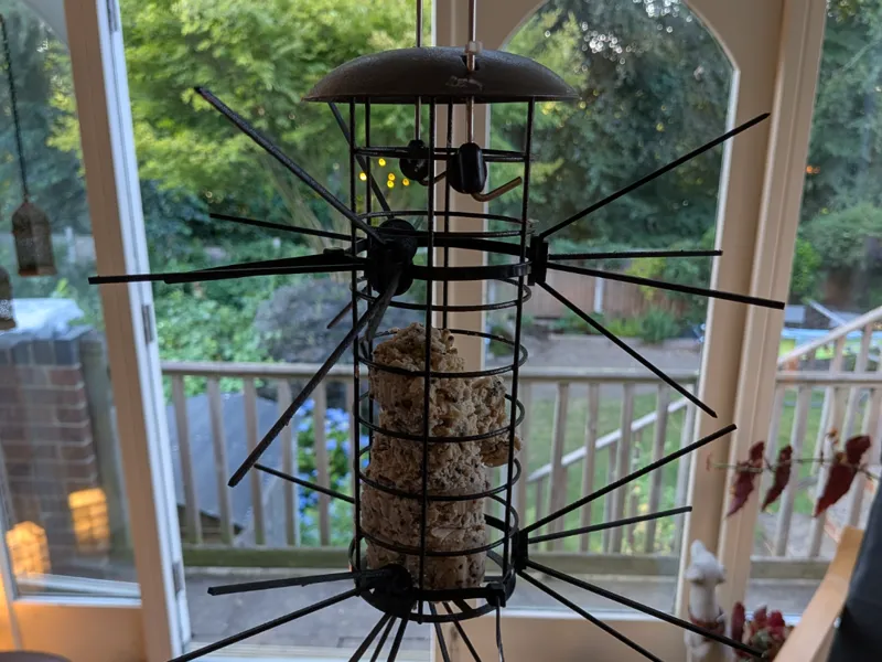 Anti large bird confounder / deterrant / spikes 