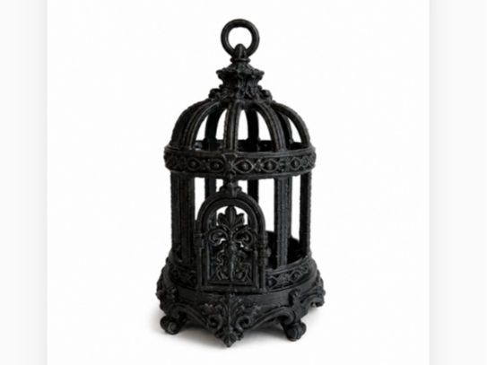 Dark Victorian Birdcage