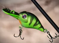 Crankbait 0.16mm layer, 2 walls, 100% infill