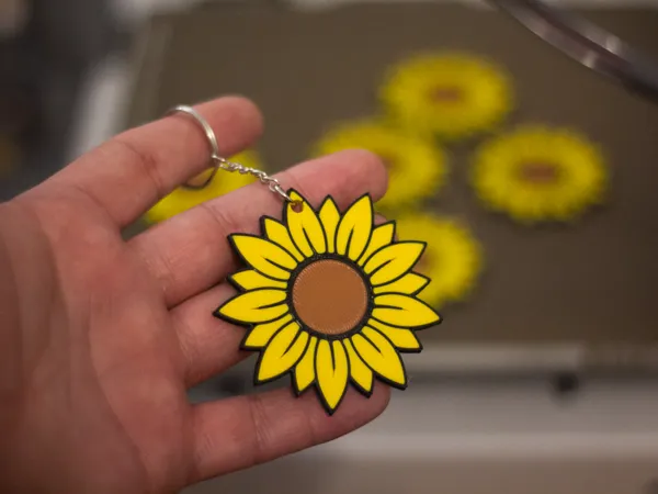 https://makerworld.bblmw.com/makerworld/model/USedc2f448baf80c/design/2025-03-09_a792eb3e3c66a.jpg
