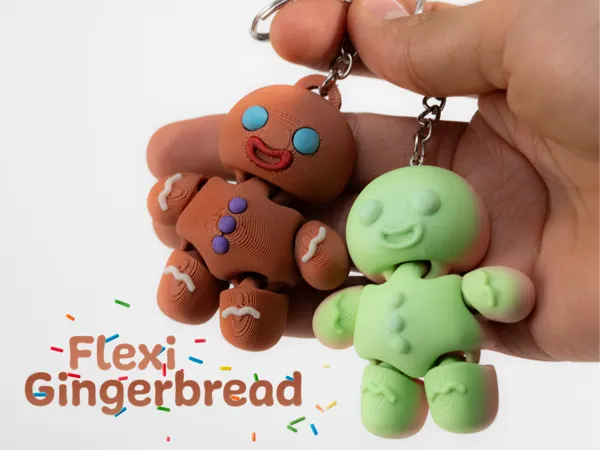 https://makerworld.bblmw.com/makerworld/model/USedc5e765f3c855/design/2025-11-24_01cbf03905d098.jpg