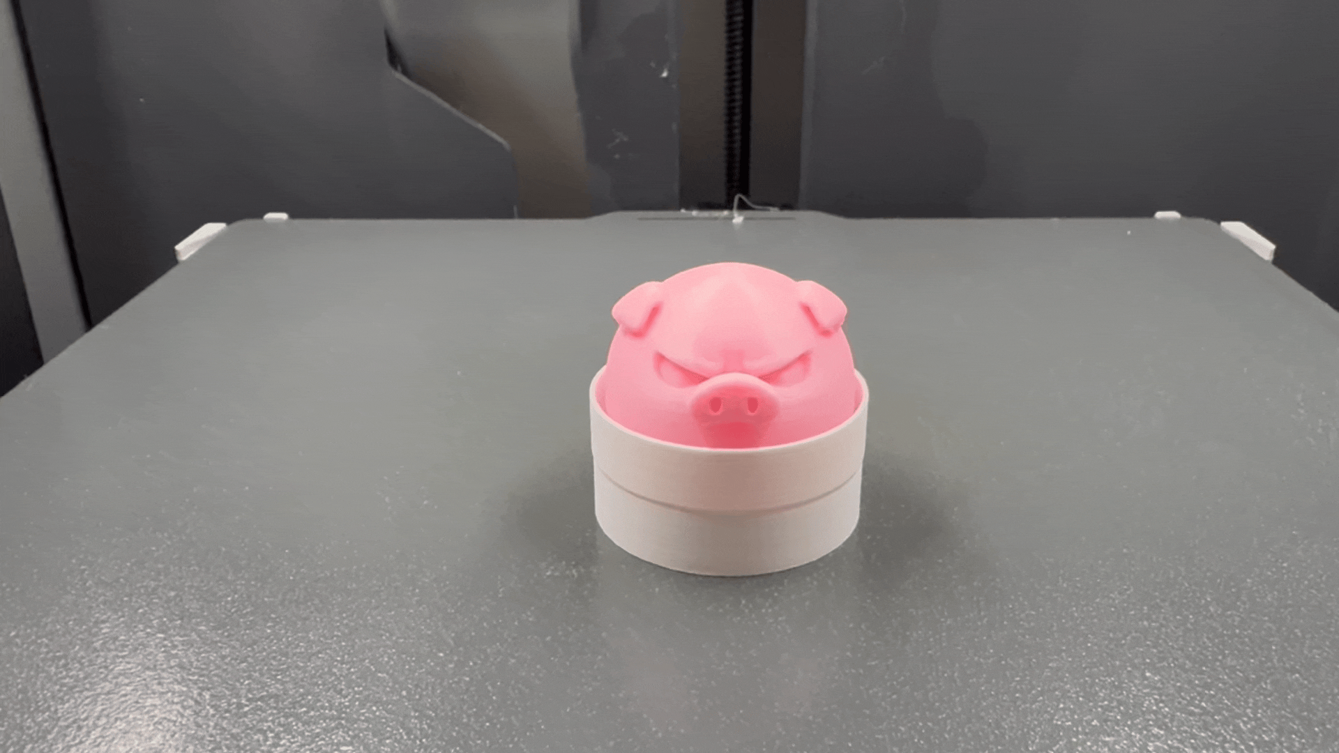 The Grumpy Piggy Clicker Fidget Toy