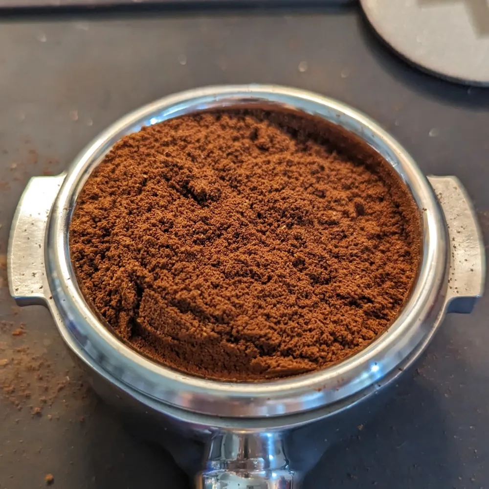 تصميم خاص للزينة الحلزونية على شكل خنفساء هدية تمثال قابل للتجميع