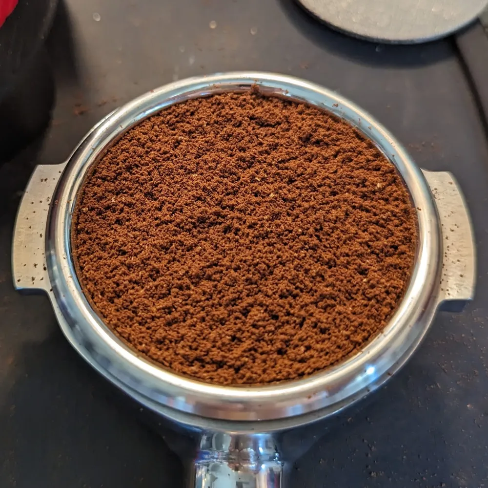 تصميم خاص للزينة الحلزونية على شكل خنفساء هدية تمثال قابل للتجميع