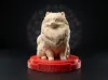 Pomeranian Dog with Personalized Nameplate