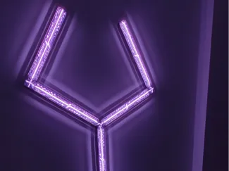 GooveXEvangelion