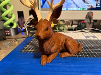 Majectic Jackalope