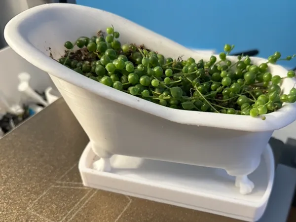 https://makerworld.bblmw.com/makerworld/model/USedcdd0c8285989/design/2025-09-01_a86a22b052a158.jpg