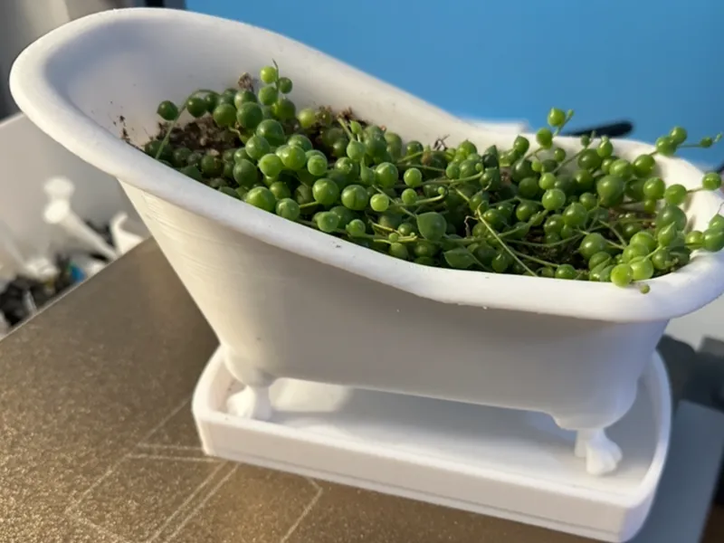 Bubble Bath Planter