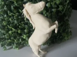 Miniature Horse 