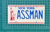 Assman - 0.2mm layer, 2 walls, 15% infill