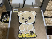 0.2mm layer, 2 walls, 20% infill