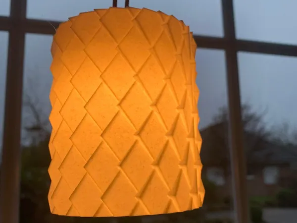 https://makerworld.bblmw.com/makerworld/model/USedd1672caac217/design/2025-01-23_225e1e17b1bbe.jpeg