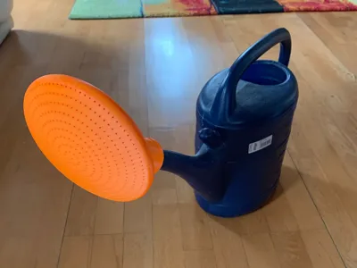 XXL Watering Can Rose