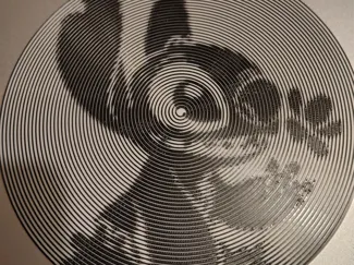 Spiral art Stitch flower