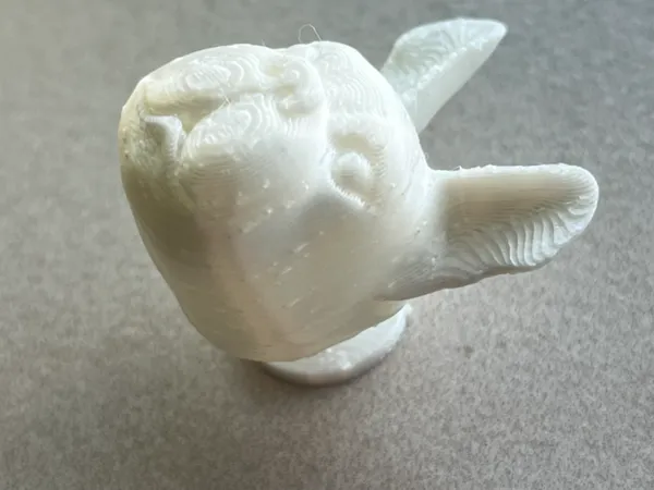 https://makerworld.bblmw.com/makerworld/model/USedd864b808fba8/design/2024-07-30_5955a0c54952.jpeg