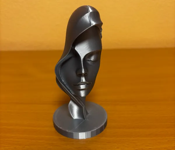 https://makerworld.bblmw.com/makerworld/model/USedd8b977384b6b/design/2025-01-19_9be5b0265db59.jpg