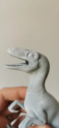 Full Raptor