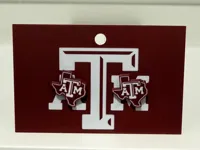 Texas Aggie - 0.2mm nozzle, 0.08mm layer