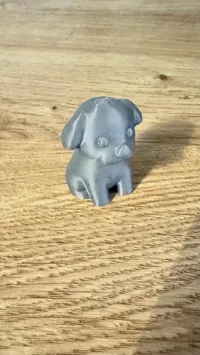 0.16mm layer, 2 walls, 5% infill