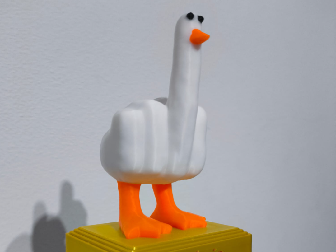 Trofeu Duck
