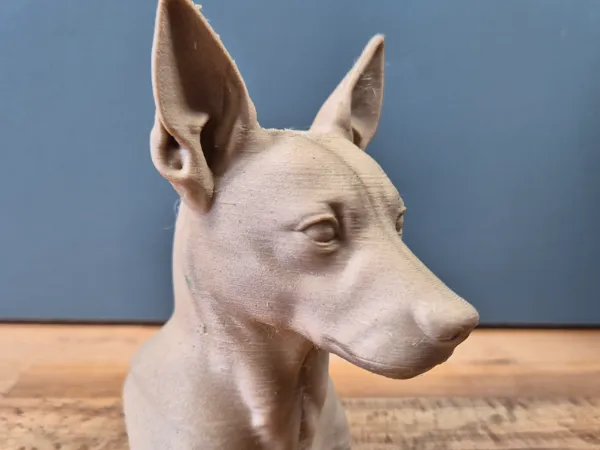 https://makerworld.bblmw.com/makerworld/model/USedf6524077e7b8/design/2025-05-14_5bd50c3c2a6ec.jpg