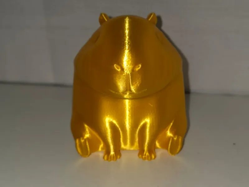 a cute capybara