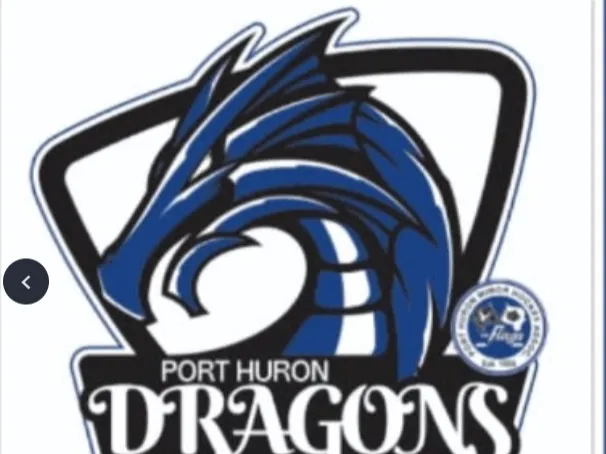 the dragons logo