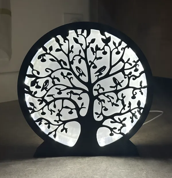 https://makerworld.bblmw.com/makerworld/model/USee0045ae4f2fa3/design/2024-12-22_7aa969c6355aa.jpg