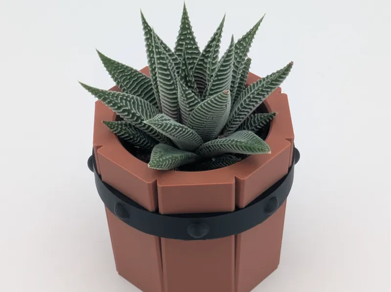 Succulent Bucket Planter
