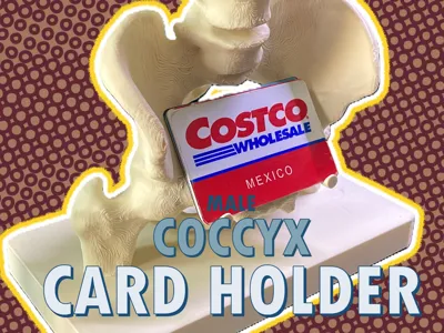 Male Coccyx Card Holder