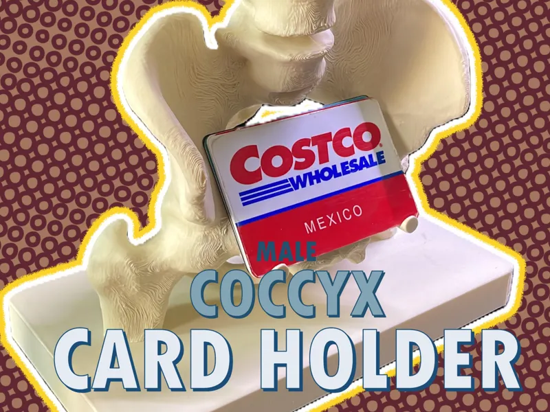 Male Coccyx Card Holder