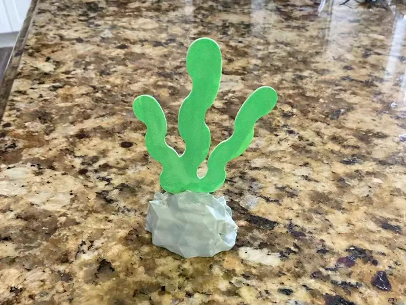 Small Seaweed Model