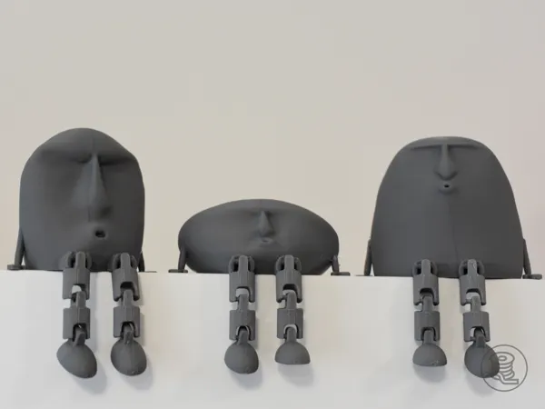 https://makerworld.bblmw.com/makerworld/model/USee11ef9310b250/design/2025-01-05_d32ba2812f4a2.png