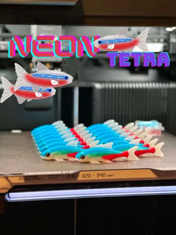Modelo para impresión 3D: Neon Tetra — vista de referencia 2