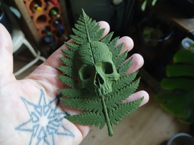 fern skull