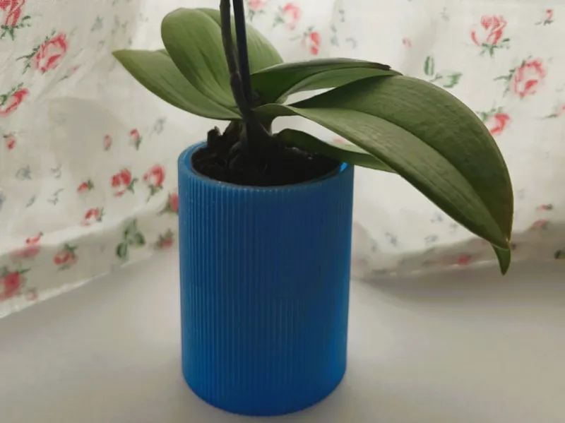 Orchid Planter