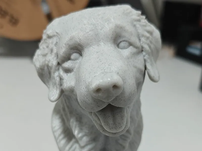 Busto de perro Golden retriever 3D