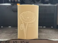 0.12mm layer, 2 walls, 100% infill, Lithophane N.M.P Edition