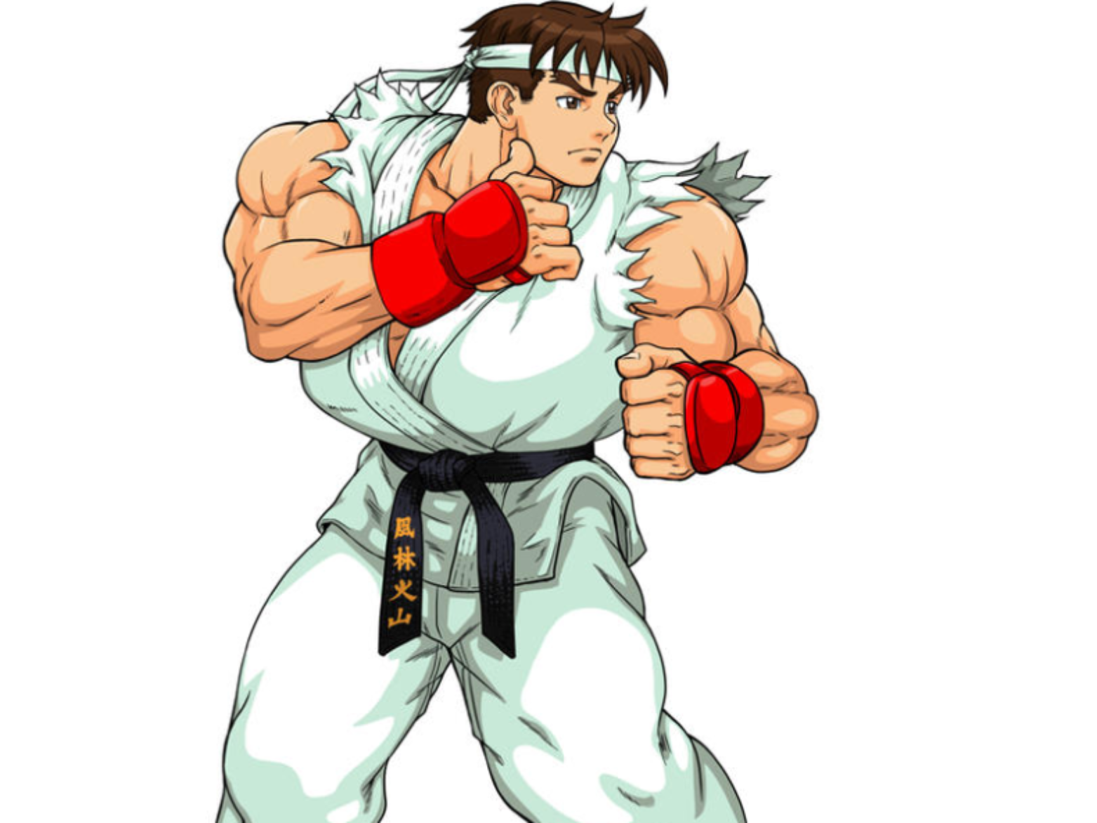 Miniatura 1 do modelo 3D Street Fighter Ryu