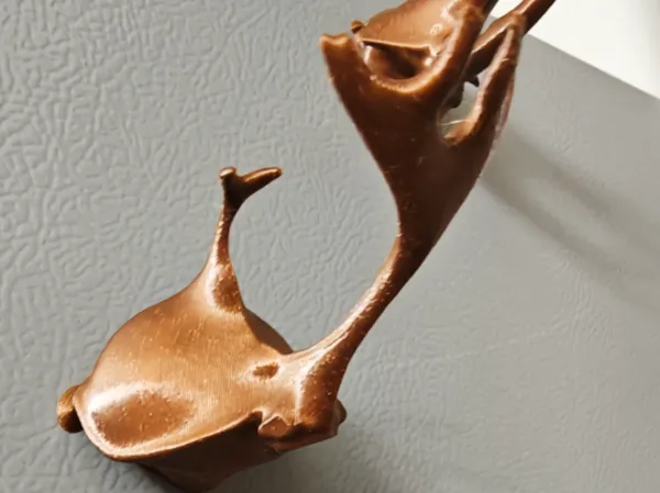 https://makerworld.bblmw.com/makerworld/model/USee2100e387df54/design/2025-08-01_358c68a30030f8.jpg