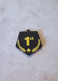 1st Place Medal