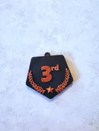 3rd Place Medal
