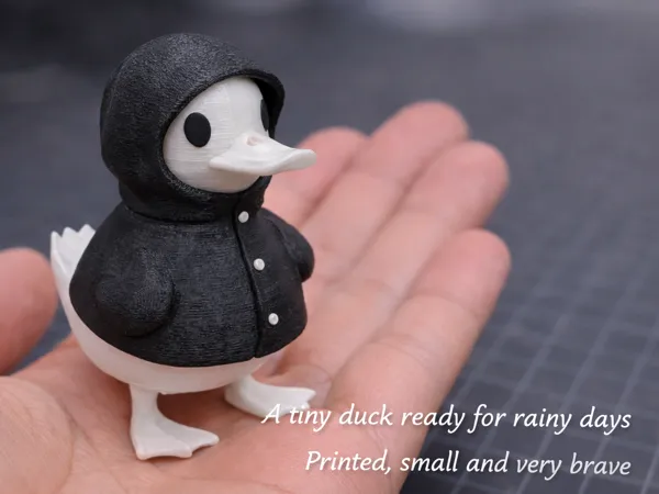 https://makerworld.bblmw.com/makerworld/model/USee2bacecc316ca/design/2026-01-11_aaac6585a157a8.png